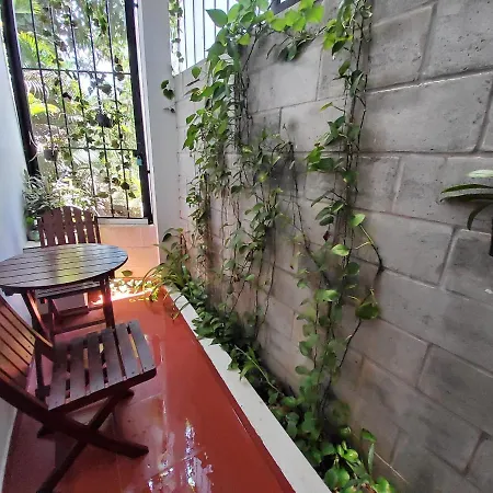 Bean Grass Homestay Hoi An Exterior photo