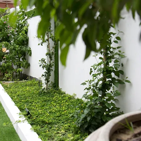 Bean Grass Homestay Hoi An Exterior photo
