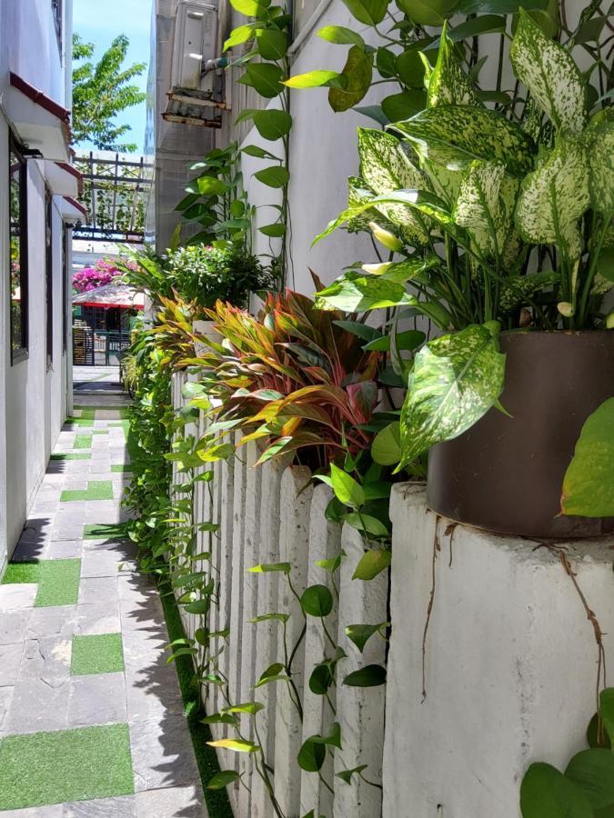Homestay Bean Grass