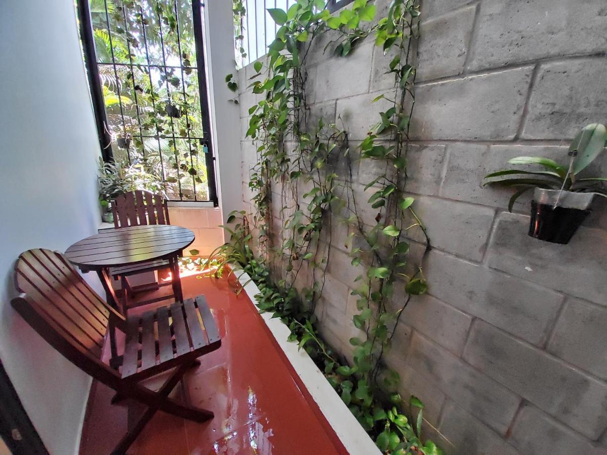 Homestay Bean Grass *