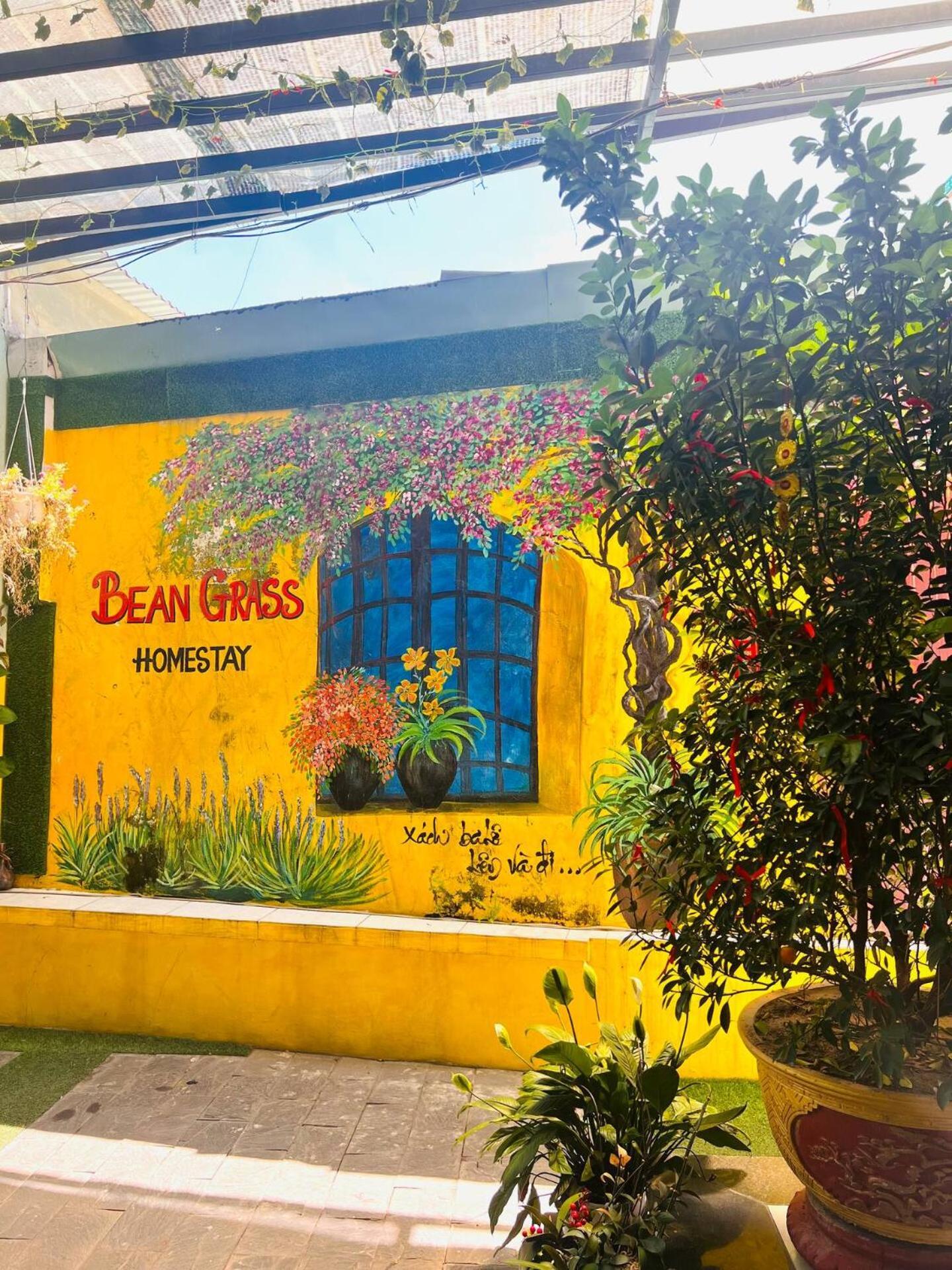 Homestay Bean Grass