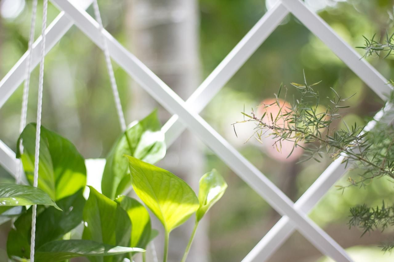 Bean Grass Homestay